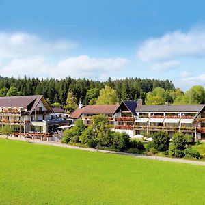 Hotel Gruener Wald